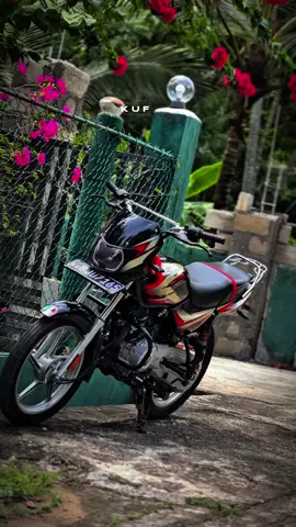 🥺🫀!  #Kuffy_Kid #tiktoksrilanka🇱🇰 #ct100modified #ct100lover #viralvideo @𝑺𝒂𝒏𝒖𝒖 🎀! 