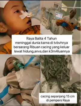 Viral bayi meninggal di Sukabumi karena tubuhnya dipenuhi cacing. Ini merupakan alarm keras bagi kita semua, bagaimana tidak hal yang bisa dicegah, namun terlambat pengobatan. 