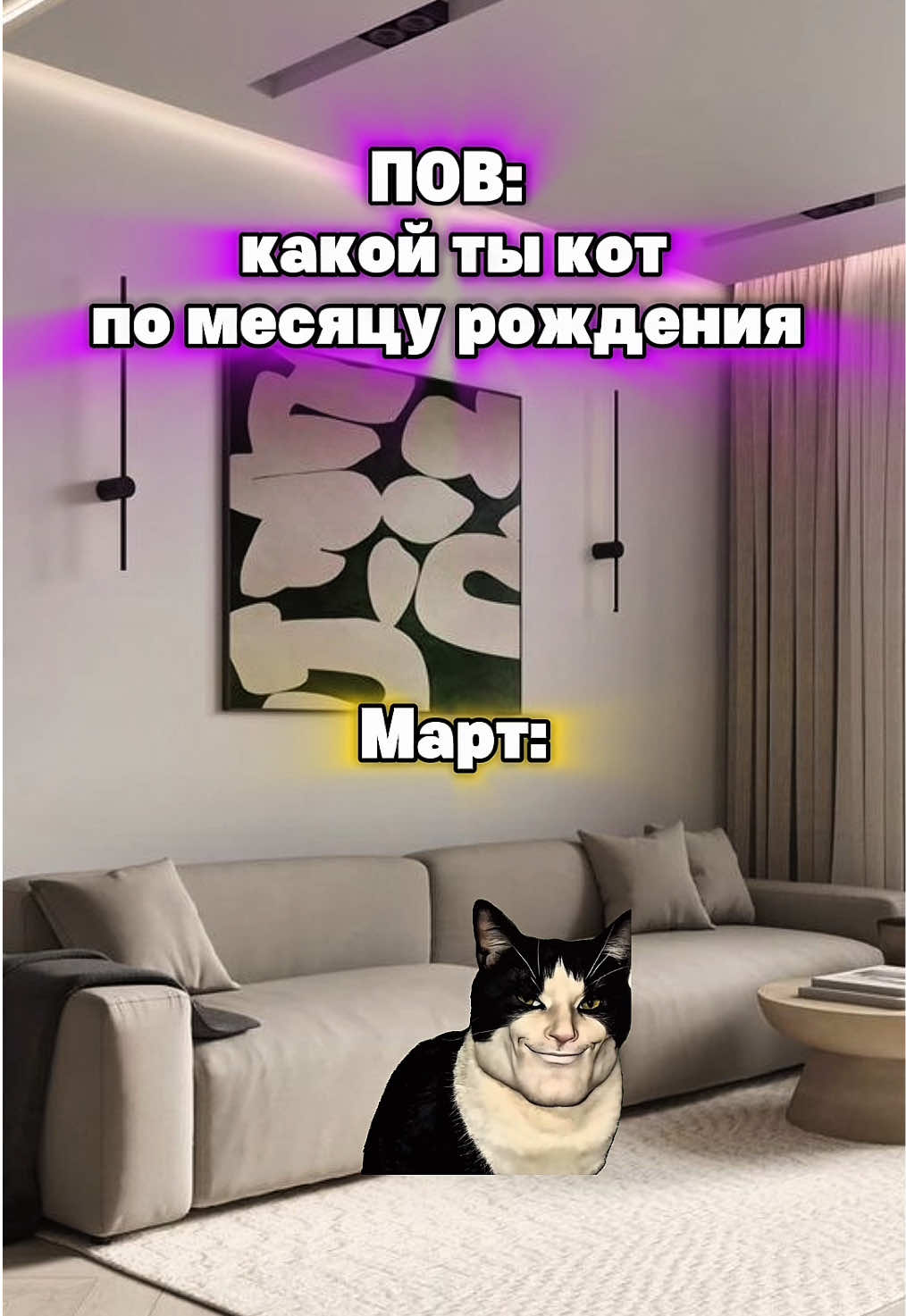 Какой ты кот?🤣 #котята #мемы #жиза 