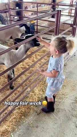 Interesting children and sheep 🫣🫣#fyp #funny #funnybaby #yunnytiktok 