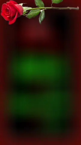 #CapCut 