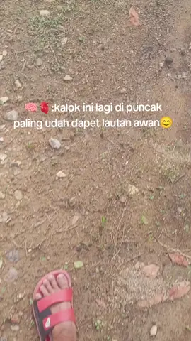 andai aja wok#katakata #montain #fyppppppppppppppppppppppp 
