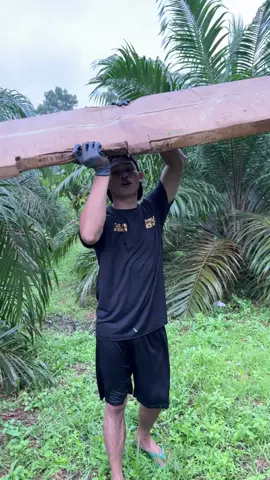 promo tangga lipat dibulan agustus ini #petanisawit #sawit #sawitkalimantan #tanggalipat 