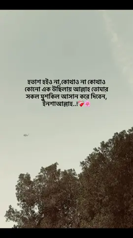Don't be discouraged, somewhere, somewhere, somewhere, Allah will make all your difficulties easy, Insha Allah..!❤️‍🩹🌸 .. .. .. #Sharjah_top_2#dubaivideo#foryou#yyyyyyyyyyyyyy#vairalvideo
