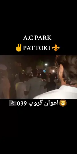#creatorsearchinsights #sadar #pattoki_waly #trending #creatersearchingsight 