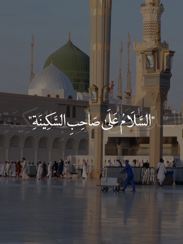 السَلامُ عليك يا رسول الله😔🙏🏻💔. #يارسول_الله💔 #يا_أمير_المؤمنين💔  #يافاطمة_الزهراء💔 #يا_أهل_البيت💔  #خادم_المذبوح🤎 
