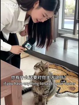 Cat has something to say #CatTok #catsoftiktok #cutecats #cuteanimals #catlover 