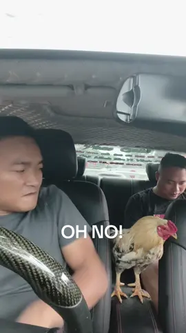 vật chất quyết định tất cả 