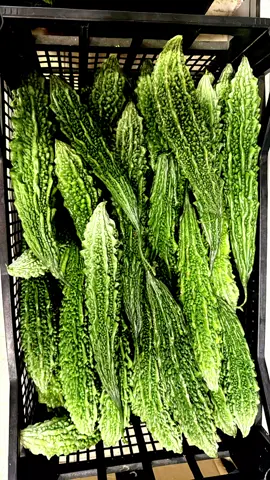 Green vegetables available in Our City Rijeka ...please do visit Spicy Peacock beside of Rio Kebab infront of Park ...great location easy to find bus for anywhere #NepaleseinRijeka #greenvegetables  #Spicypeacockrijeka  #foryou #Asianspicesrijeka @saya_4341 @AAA💞11.11🇪🇺🇪🇺 