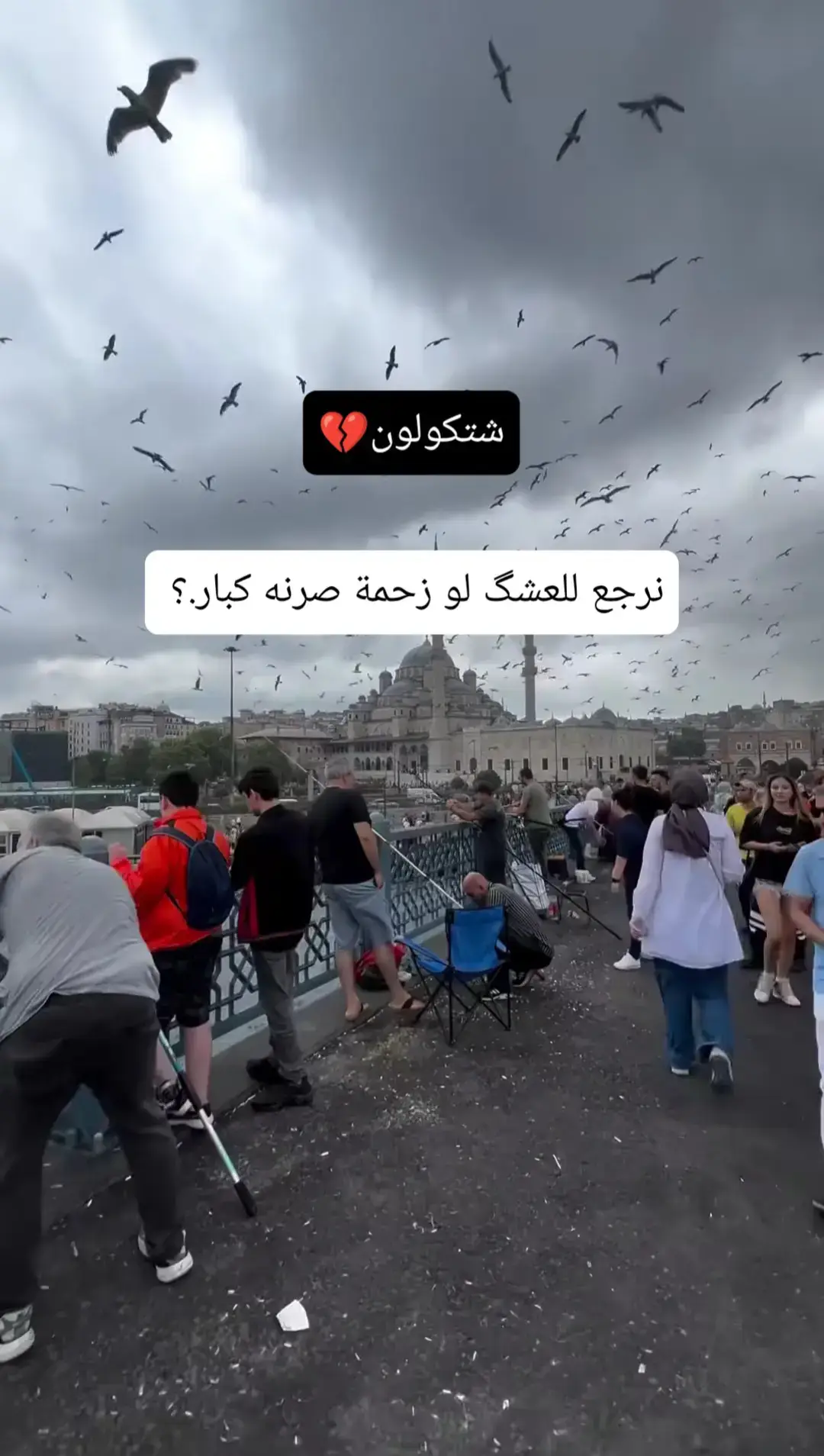#شعر #سوريا #العراق #اكسبلور                   #الشعب_الصيني_ماله_حل😂😂 
