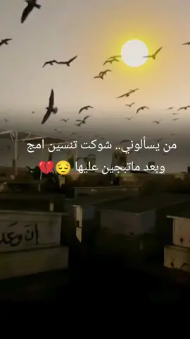 #رحمك_الله__فقيدة_قلبي💔 أمي 😭😭