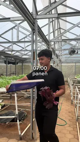 kerja di kebun hidroponik kalo buat orang yg apa apa berak jadi lumayan susah kak 🙏 #willforeverbeyourgreens #hidroponik #sayuranhidroponik #petanimilenial #tanamanhidroponik 