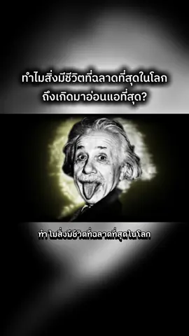 ทำไมสิ่งมีชีวิตที่ฉลาดที่สุดในโลก ถึงเกิดมาอ่อนแอที่สุด..? #ความฉลาดของมนุษย์ #วิวัฒนาการมนุษย์ #เรื่องนี้น่าคิด #สิ่งมีชีวิตฉลาดที่สุด #มนุษย์เกิดมาอ่อนแอ