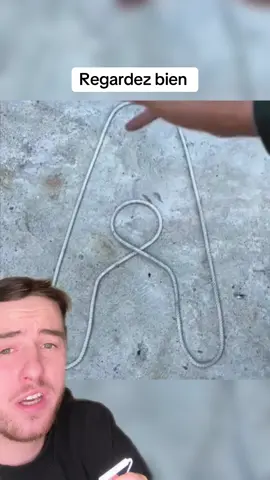 #devinelapersonne 