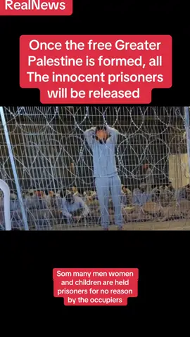 Once Palestine become free, all the innocent Palestinians will become free #palestine🇵🇸 #gaza #fyp 