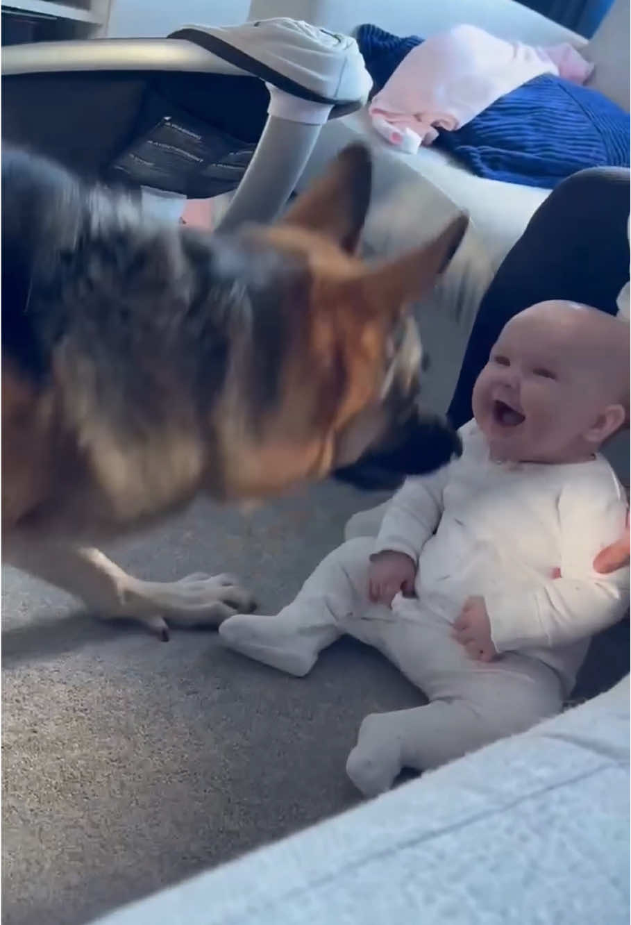 Best friends ❤️#baby#dog #Love #happy #bestfriend #cute #tiktok #lovestory #usaus 