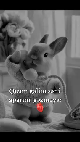 buda biz😂#🧸🎀 