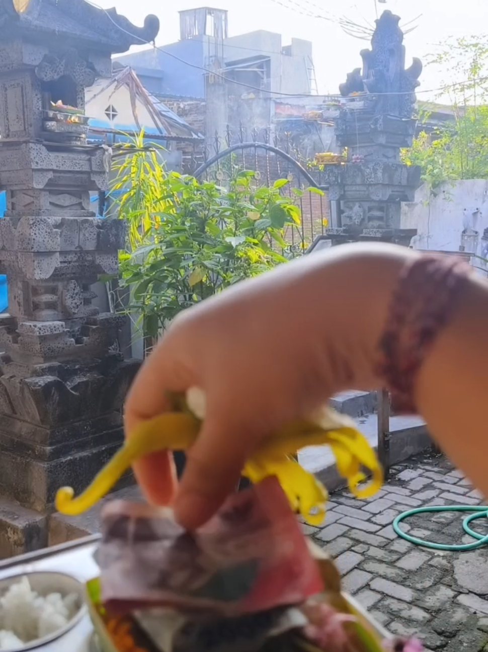 Rahajeng Rahine Bude Cemeng Kelawu dumogi setate Mesari tur Rahayu 😇✨ #budecemengklawu #balinese #mebanten #wanitabali #ajegbali 