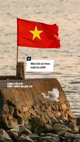 #CapCut Nhà tôi có treo một lá cờ 🇻🇳#maucapcut #dladr887 #quockhanh2025 