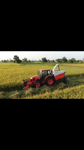 #tractor #foryou #foryoupage #fyp 