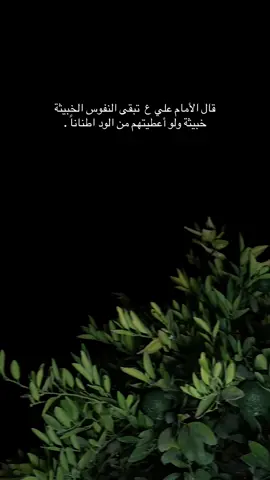 #حسين_التگريتي #تكريت #العلم #الحاوي #عشوايات 