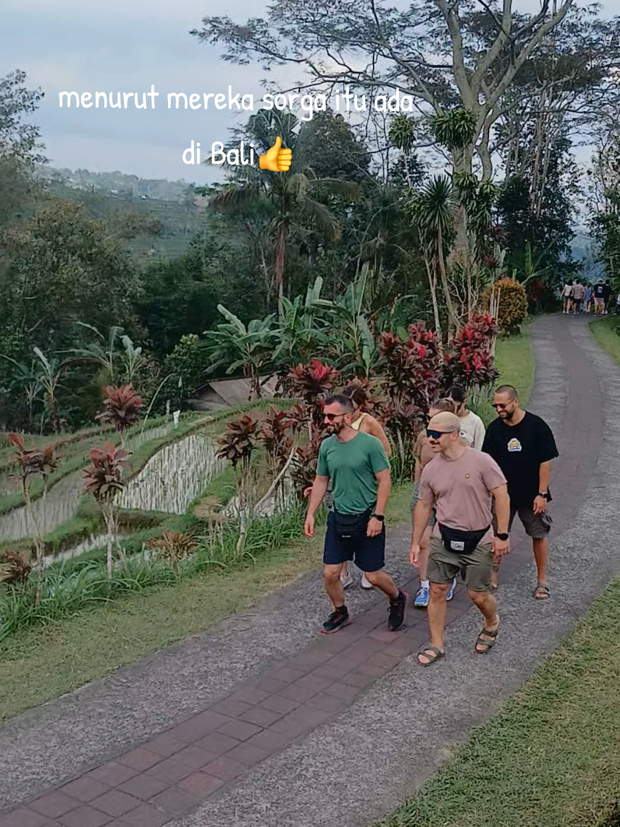 for anyone coming to Bali domestik or international tourists do not hesitate to contact me for memorable holiday in Bali  #dewaalitprivatetours  #fyptiktok  #fypviral  #fyp  #rice 