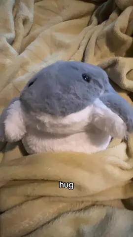 hi everyshark, the owner of this account has been having a rough day so she just wanted to do this for people who are also feeling the same :) #fshwithnoi #shark #puppet #fyp #xyzabc 