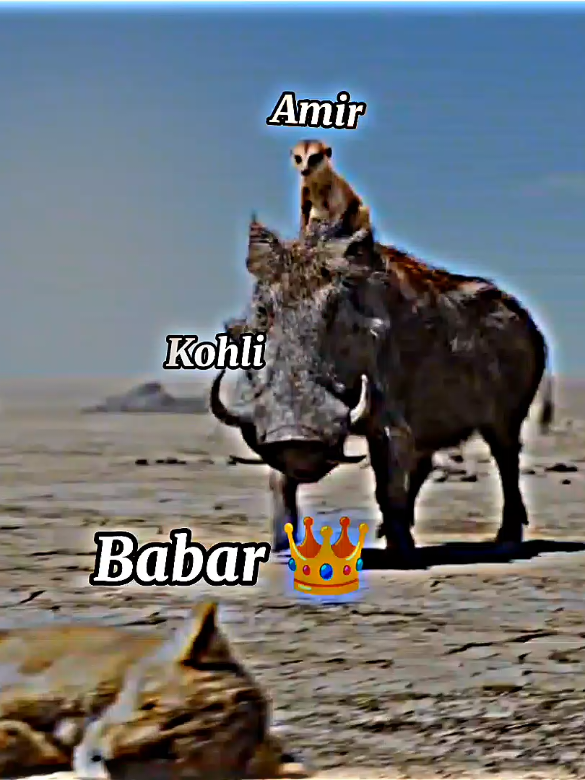 Come on Guys 1M Views #cricketlovers #trending #viral #cricket #babarazam 