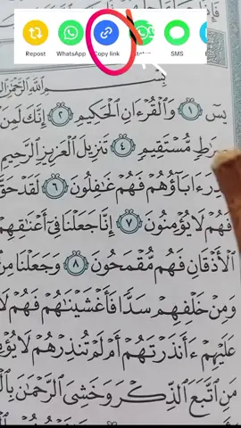 Recitation Of Quran Surah YASEEN 📖 #🤍 #quran #viral #1billionauidition #1millionaudition #fypシ゚ #deartiktokteamdontunderviewmyvideos #creatorsearchinsights 