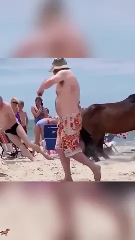 #horse#kick#donkey#foryou#fyp