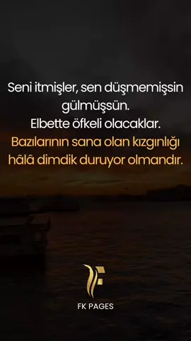 Seni itmişler, sen düşmemişsin gülmüşsün. Elbette öfkeli olacaklar. Bazılarının sana olan kızgınlığı hâlâ dimdik duruyor olmandır. #fyppppppppppppppppp #tiktokindia #fkpages #capcut #fyp 