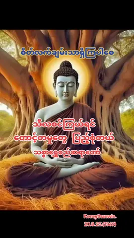 #သီလစင်ကြယ်ရင်တောင့်တမှုတွေပြည့်စုံတယ် #သစ္စာရွှေစည်ဆရာတော်  #foryou #fyp #tiktok 