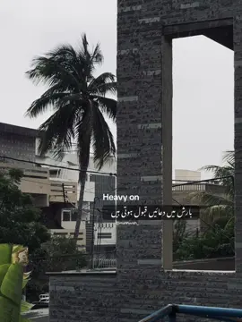 #fyp #mahhwish_ 