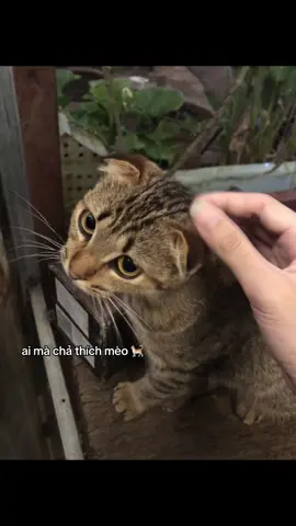 #fypシ゚ aaaa 