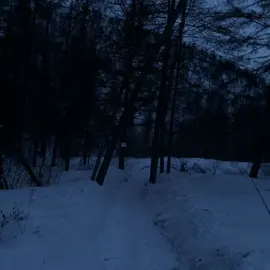 СЛАВА МСИ🙏❤️❤️САМАЯ ЛУЧШАЯ ПЕСНЯ🙏❤️❤️БОЖЕ ХРАНИ МСИ🙏❤️СПАСИБО ГРУППЕ МСИ ЗА ТО ЧТО ОНИ ЕСТЬ🙏❤️СЛАВА МСИ🙏❤️❤️САМАЯ ЛУЧШАЯ ПЕСНЯ🙏❤️❤️БОЖЕ ХРАНИ МСИ🙏❤️СПАСИБО ГРУППЕ МСИ #MindlessSelfIndulgence #if #recommendations #мси 
