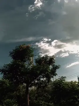 মিথ্যা না বললেও পারতা 😅
