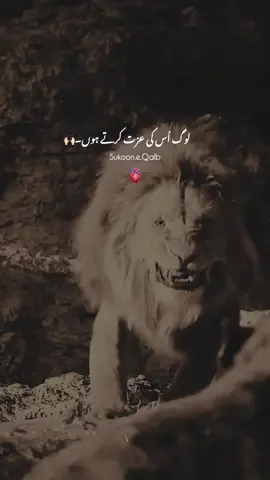 Mola Ali (as) Farmata Hain !🖤🙌🏻