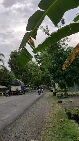wayahe tampil woo🤙🤙#fyppppppppppppppppppppppp #purworejo24jam #cantermaniaindonesia @KAJI_DK🐦 