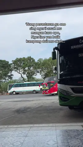🙇🏻‍♂️🙇🏻‍♂️ #creatorsearchinsights  #xzybca  #kulipabrik  #cikarangpeople  #perantau  #jowocidro 