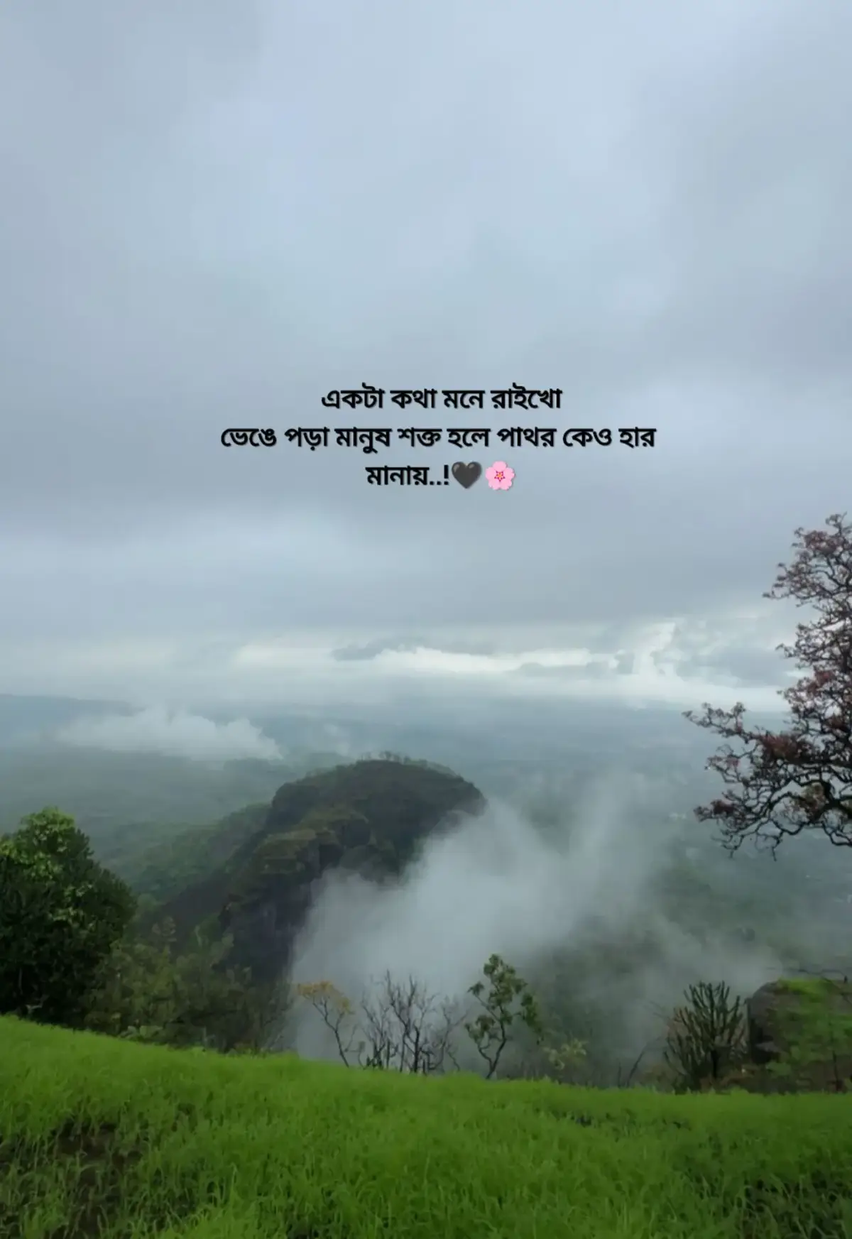 একটা কথা মনে রাইখো ভেঙে পড়া মানুষ শক্ত হলে পাথর কেও হার মানায়..!🖤🌸 #foryou #foryoupage #viral #unfrezzmyaccount #creatorsearchinsights 