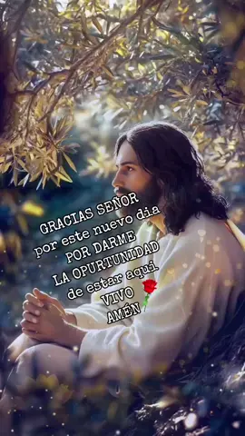 #diosesamor#diosmisericordios#catolicostiktokviral #diosesbueno #fyp 