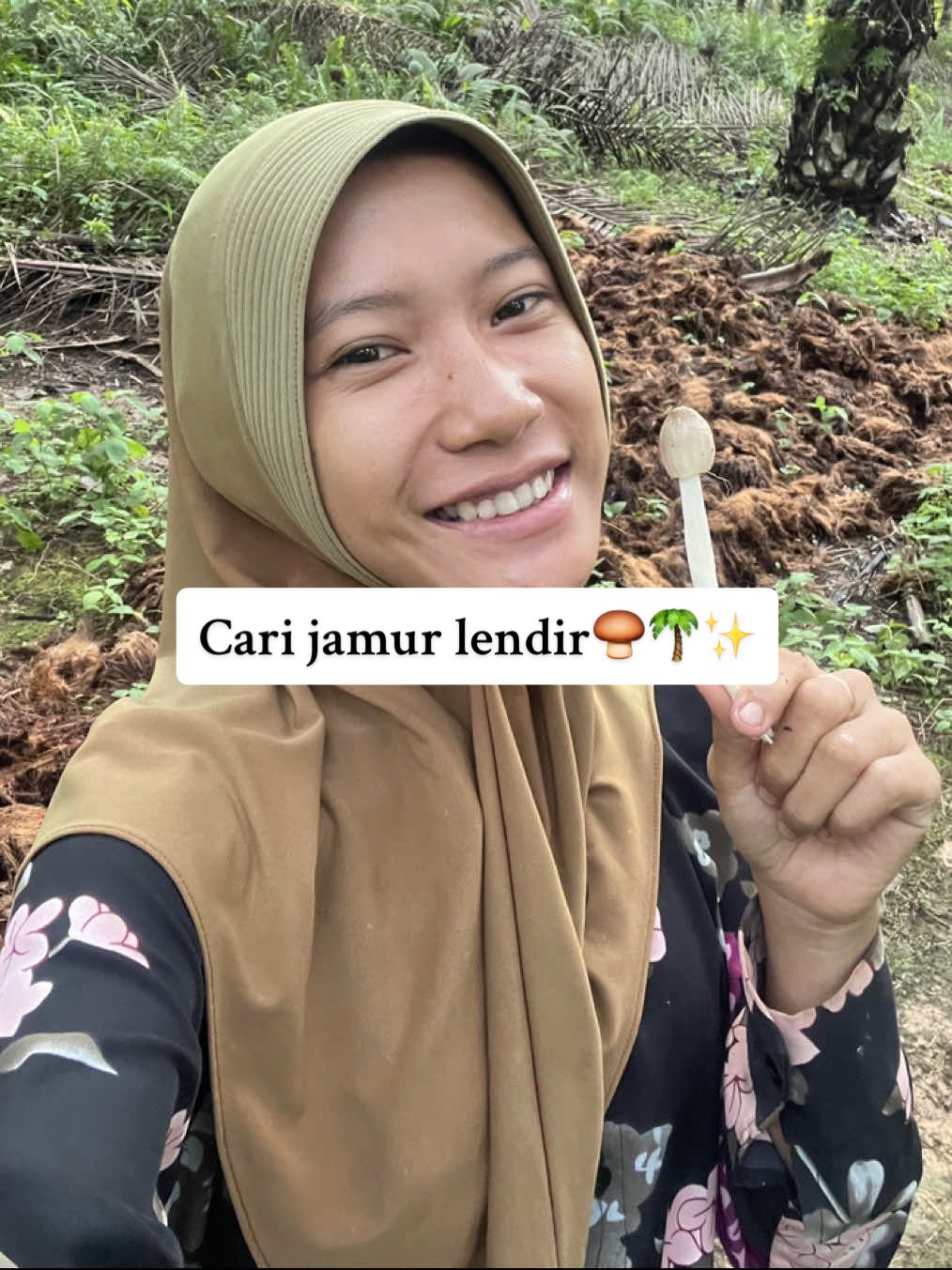 Akhirnya bisa cari jamur sawit lagi guys🤩 #dailysindi #carijamur #jamursawit 