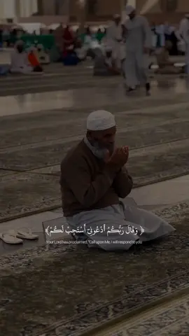 وقال ربكم ادعوني استجب لكم 🤍-ياسر الدوسري #قران #quran #ياسر_الدوسري 