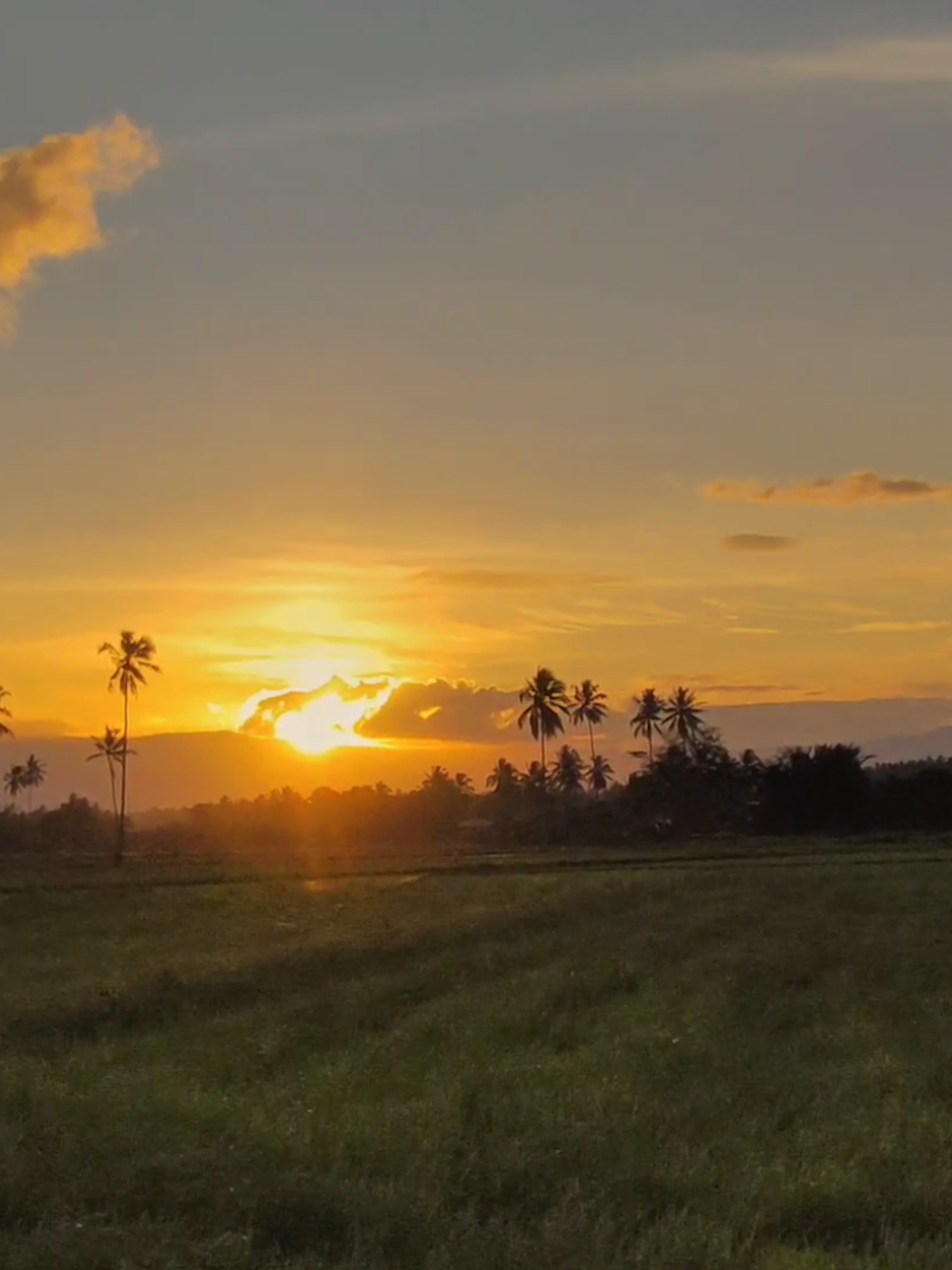 18? . . . . . #sunset #18 #onedirection #soundold #colorgrading #pocox3nfc#pocox7pro#fyp #foryoupage #masukberanda #mentahanvideo