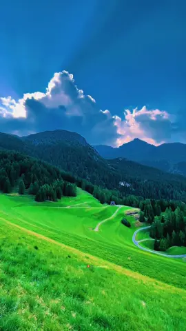 Beautiful Switzerland 🇨🇭🌲🌳🏞️❤️Swissviews #naturebeauty #