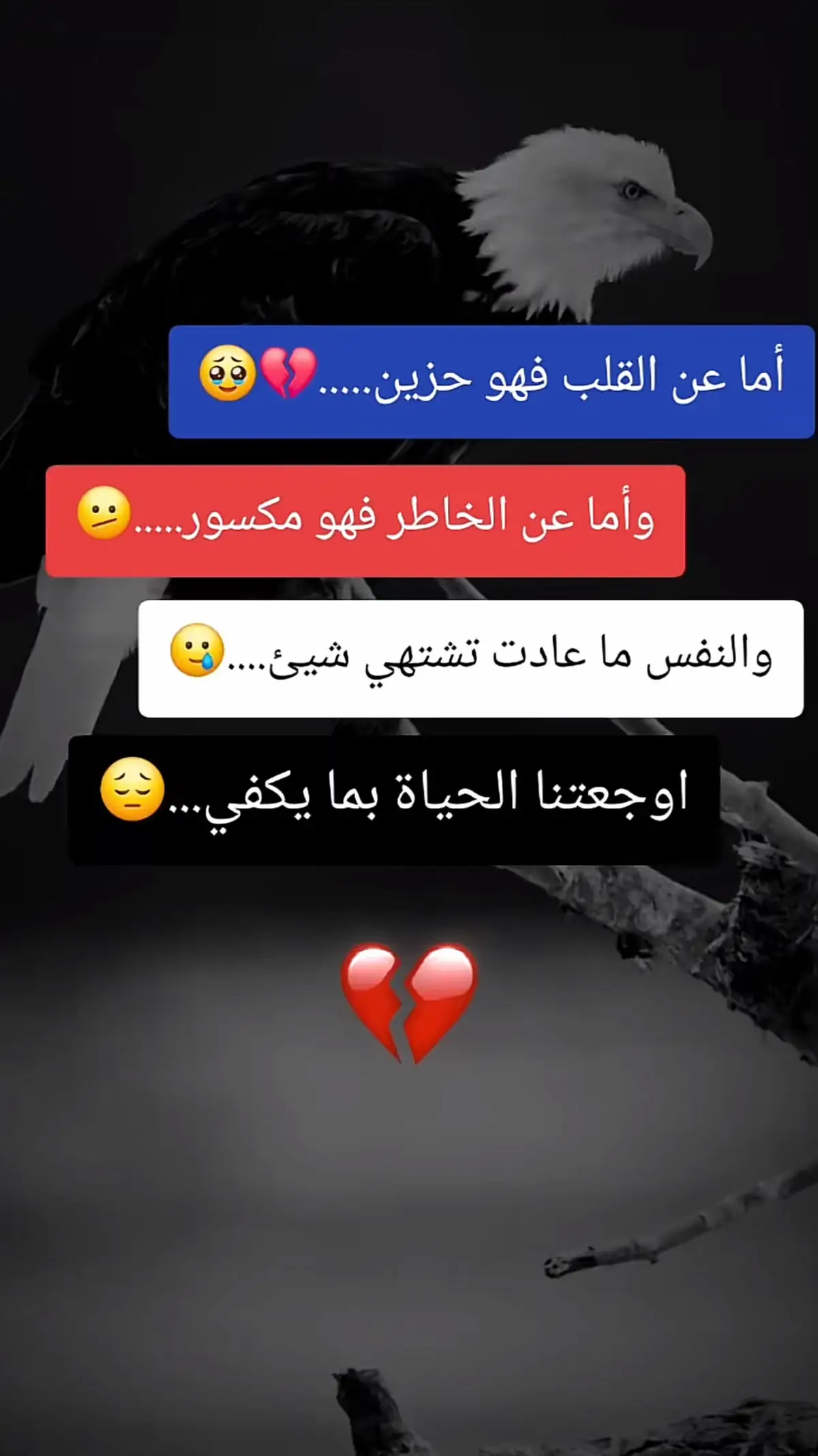 #اقتباسات_عبارات_خواطر🖤🦋❤️ #عبارات_جميلة_وقويه😉🖤 #عبارات_حزينه💔 #ذي_قار #قضاءالشطرة🌹💔 
