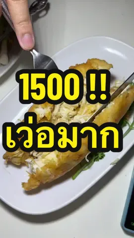 ❌กุลงจริงแบบไม่ลบจ๊ะ !! ❌ ไข่เจียว 1500 บาท  ทำไมราคานี้มันกลายเป็นเรื่องปกติวะ  แล้วรับแต่เงินสดนะ ☺️ ทุกอย่างOverpriced มาก แบบสุดๆ รสชาติเฉยๆมากอันนี้  . . . . #เจ๊ไฝ  #ไข่เขียวเจ๊ไฝ #ดราม่าไข่เจียวเจ๊ไฝ #รีวิวแบบไม่อวย 