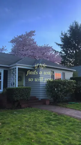 everything will make sense in time, do not waste it to ask questions no one has answers to. || #yearning #videoviral #xzyabc #relateable #girlblog || @beans || xtra hashtags - midwest quote aesthetic girlblog autumn summer hopecore bmf moots mutuals pinterest tumblr 2019 2018 scenery houses 