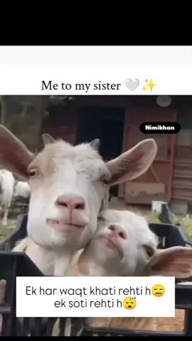 @Mahi Khan  tu_khati_rehti_h🤣
