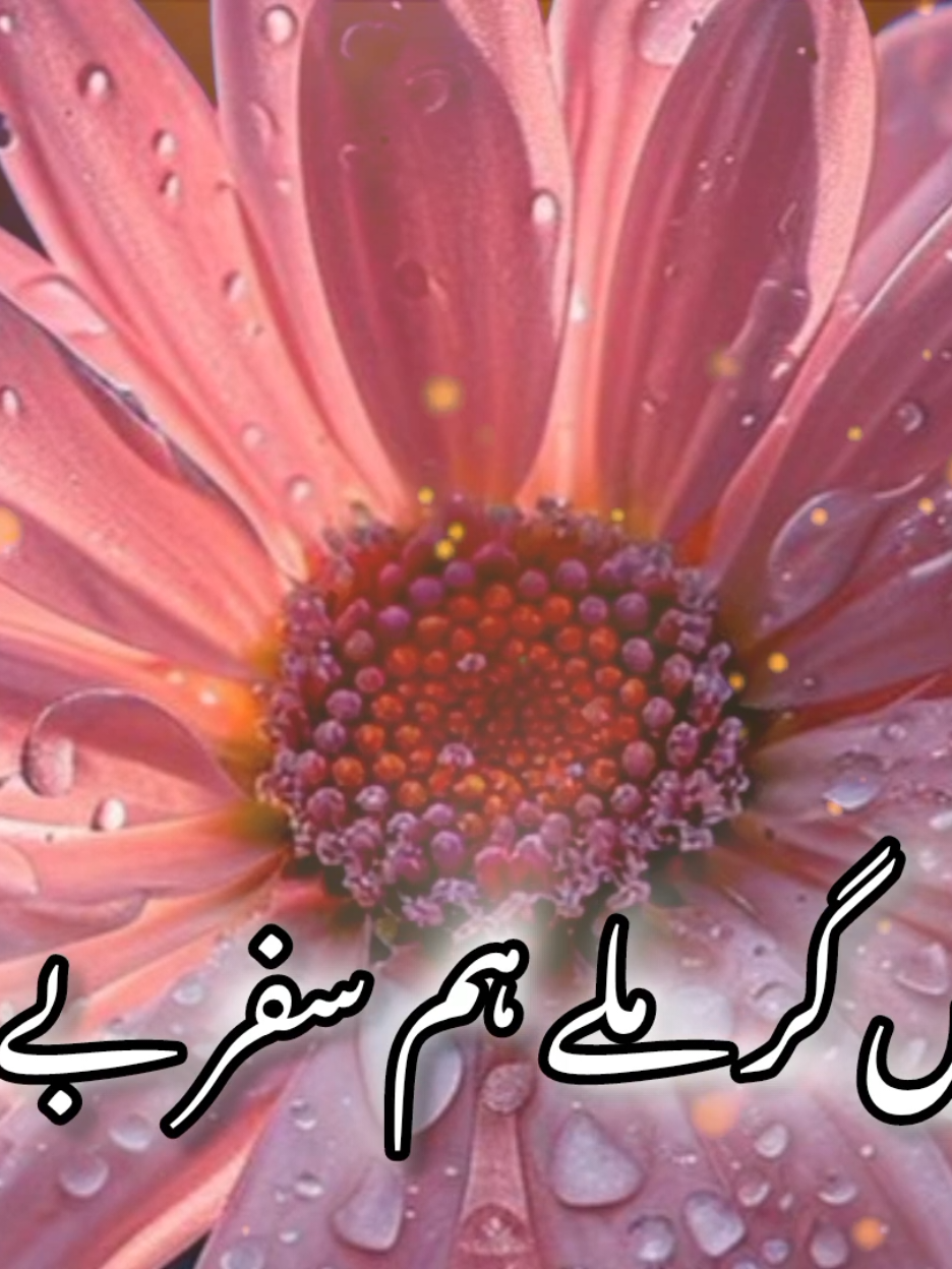 #وفاؤں کے بدلے میں لے کر جفا تمہیں گرمی لے ہمسفر بے وفا #trending #foryou #fypviralシ 